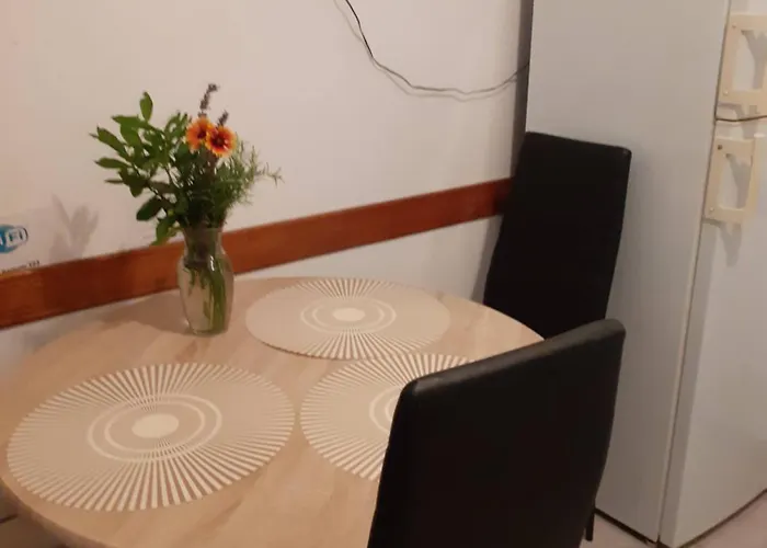 Apartament Pavlovic *