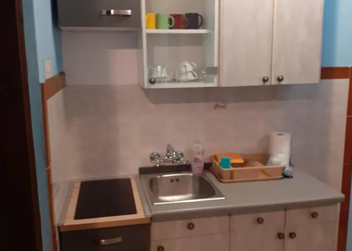 Apartament Pavlovic *